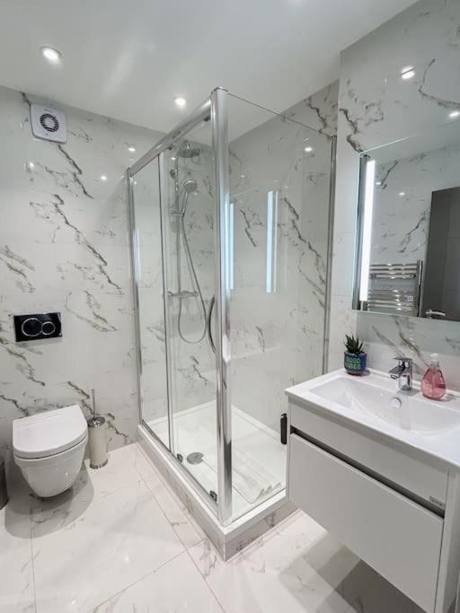 Modern One Bedroom Flat In The Heart Of Londen